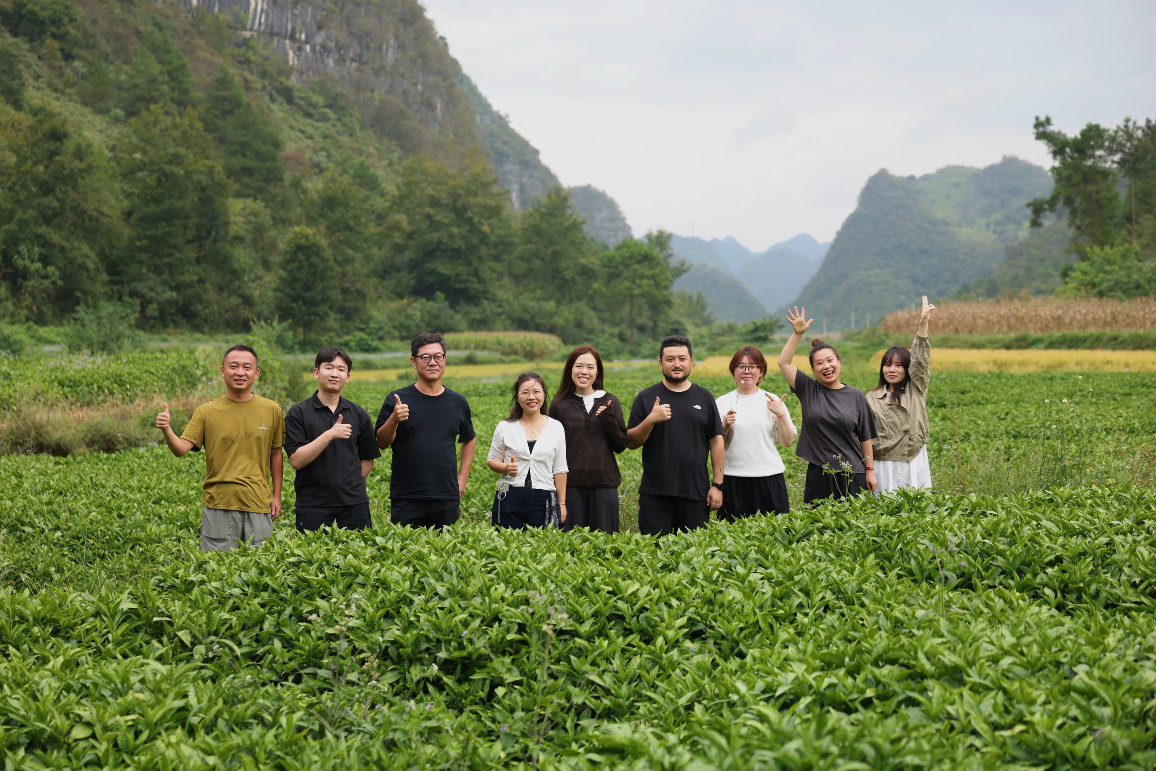Green Cosmos and MUJI China project teams standing in a plant-indigo field.